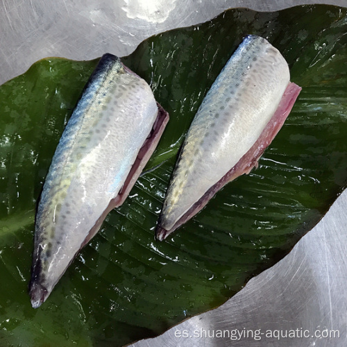 Precio de HGT de caballa de pescado congelado chino para enlatado